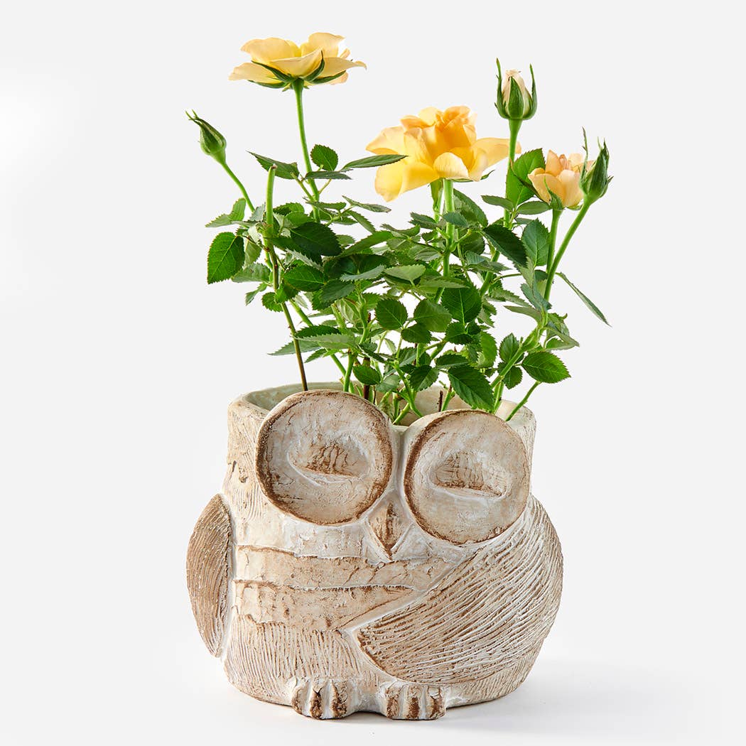 Owl Planter