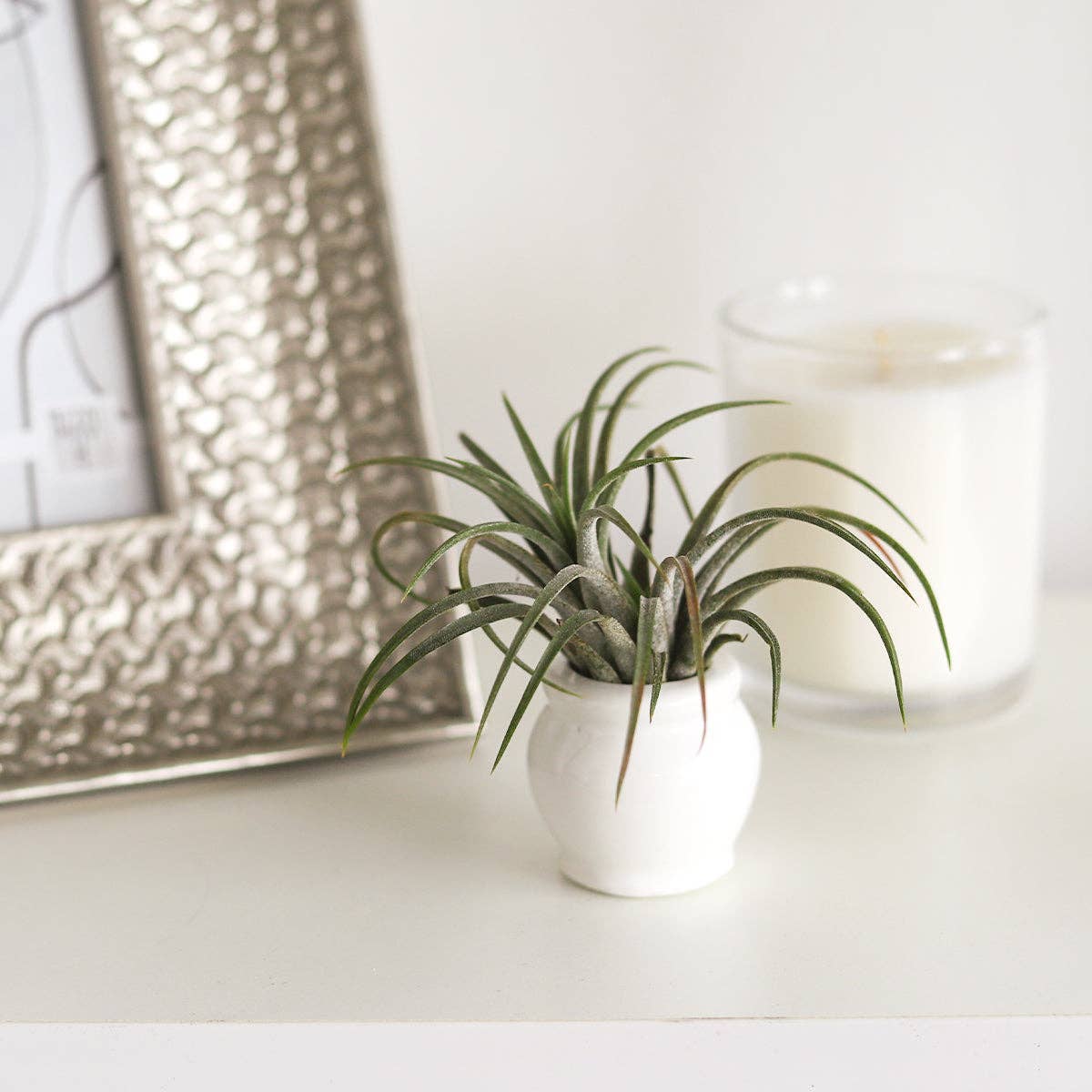 Round White Glazed Ceramic Mini Pot, Air Plant Holder