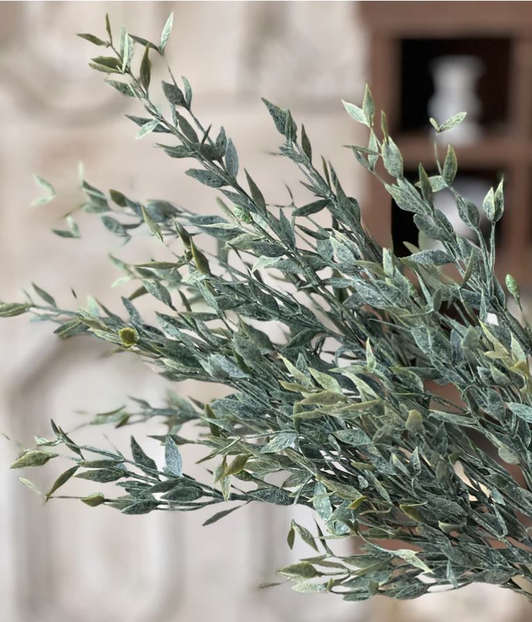 Twilight Ash Bush
