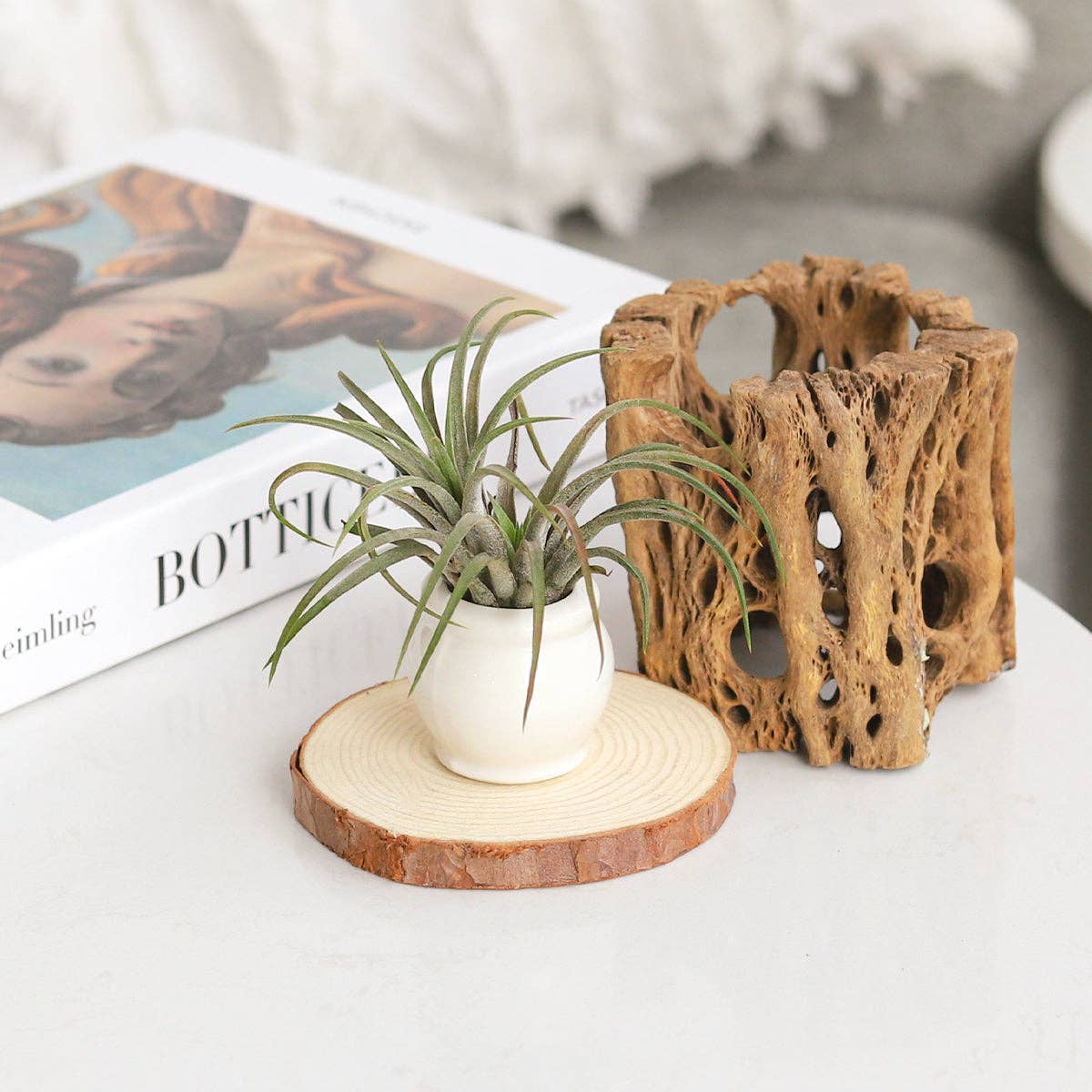 Round White Glazed Ceramic Mini Pot, Air Plant Holder