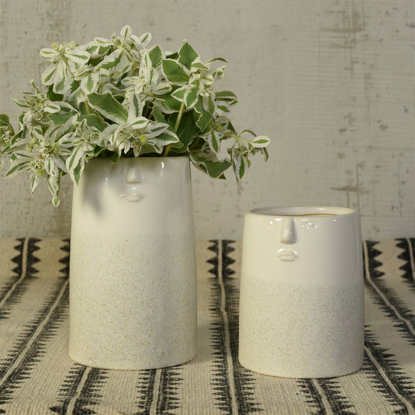 Face Vase