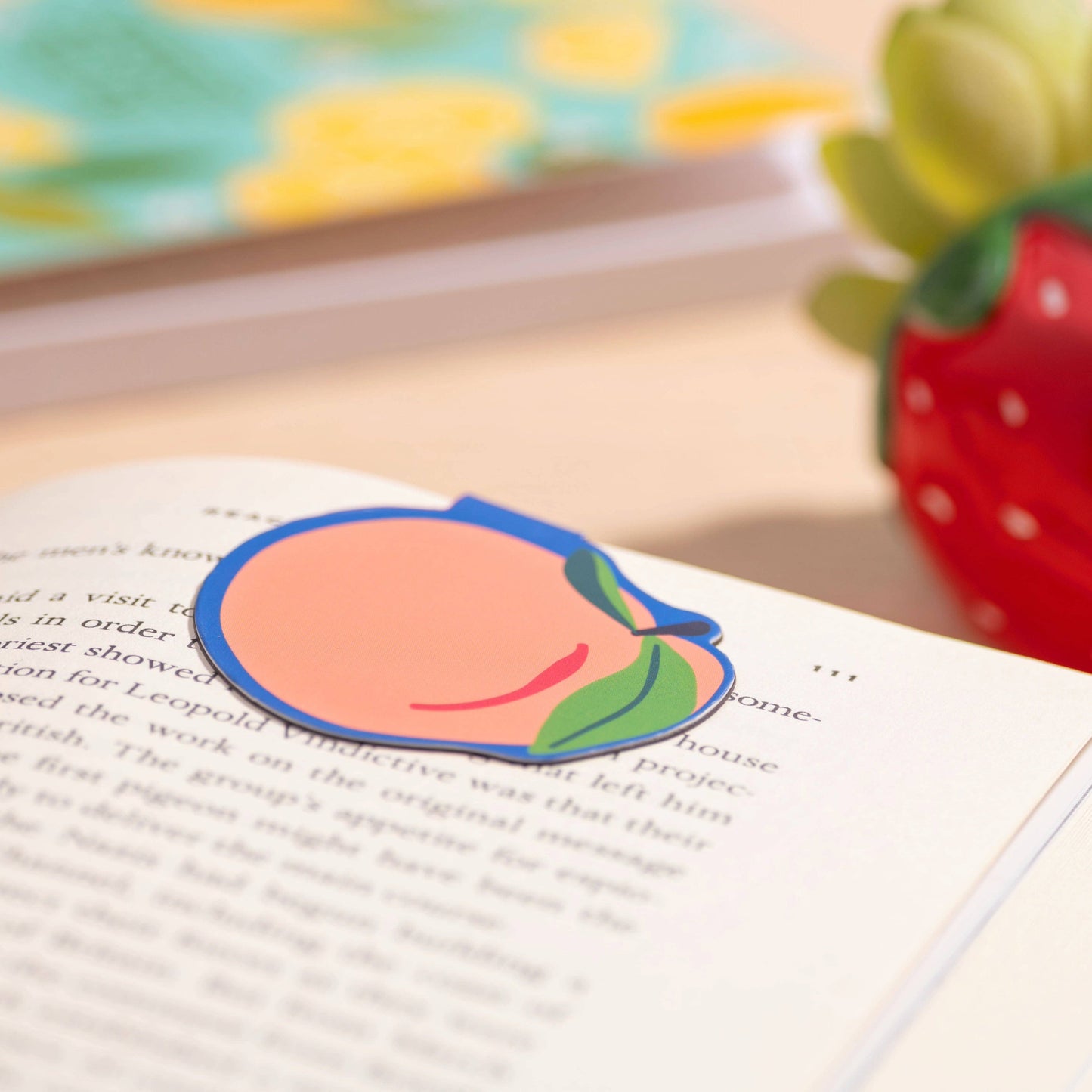 Magnetic Bookmarks
