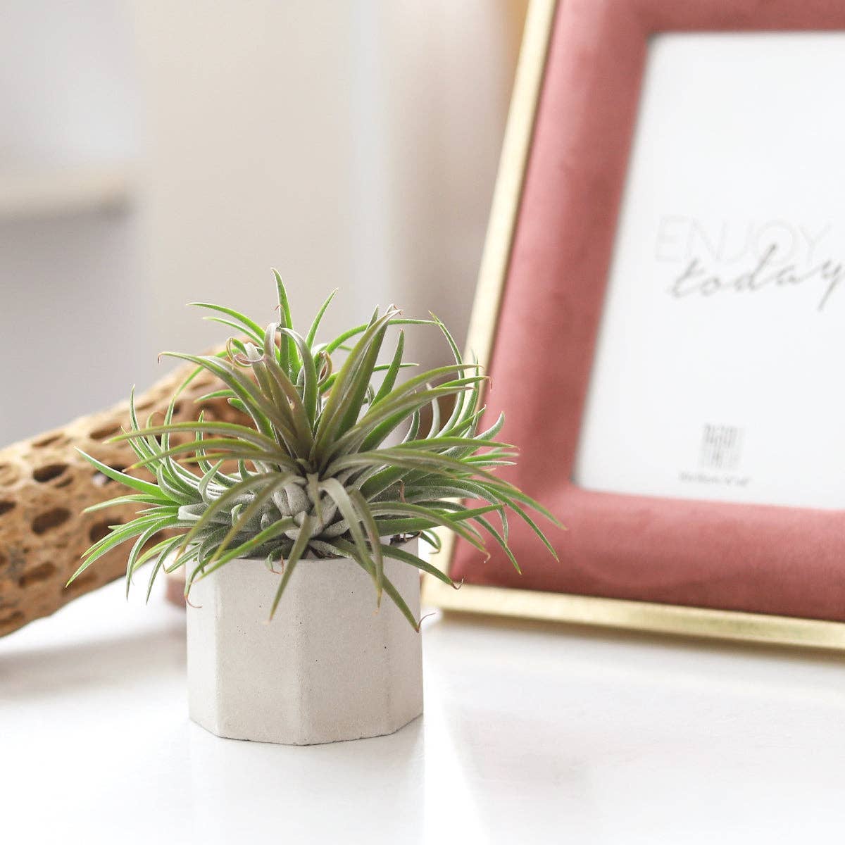 Octagon Cement Mini Plant Pot, Candle Holder