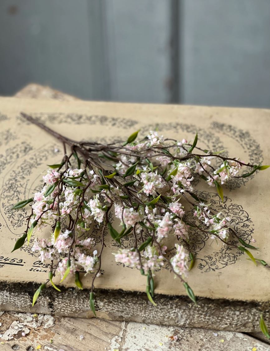 Pink Bliss Buds Bush