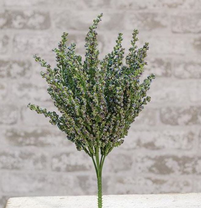 Blue Heather Bush