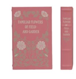 Book Boxes
