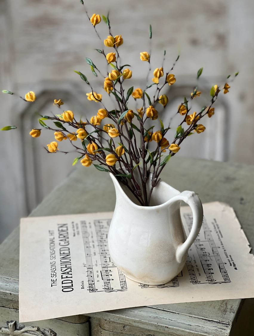 Yellow Daydream Bush