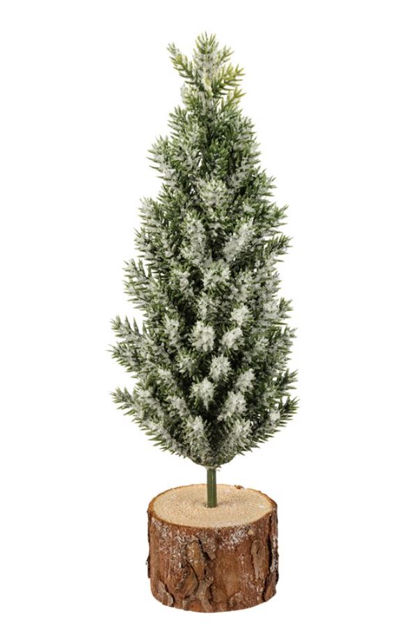 Evergreen Tree - Medium