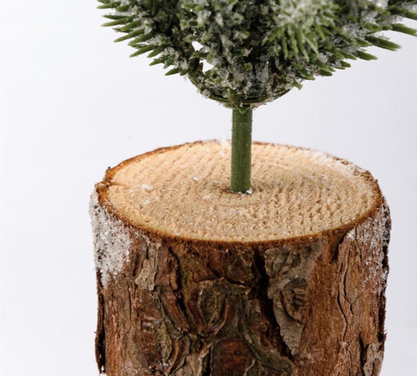 Evergreen Tree - Medium