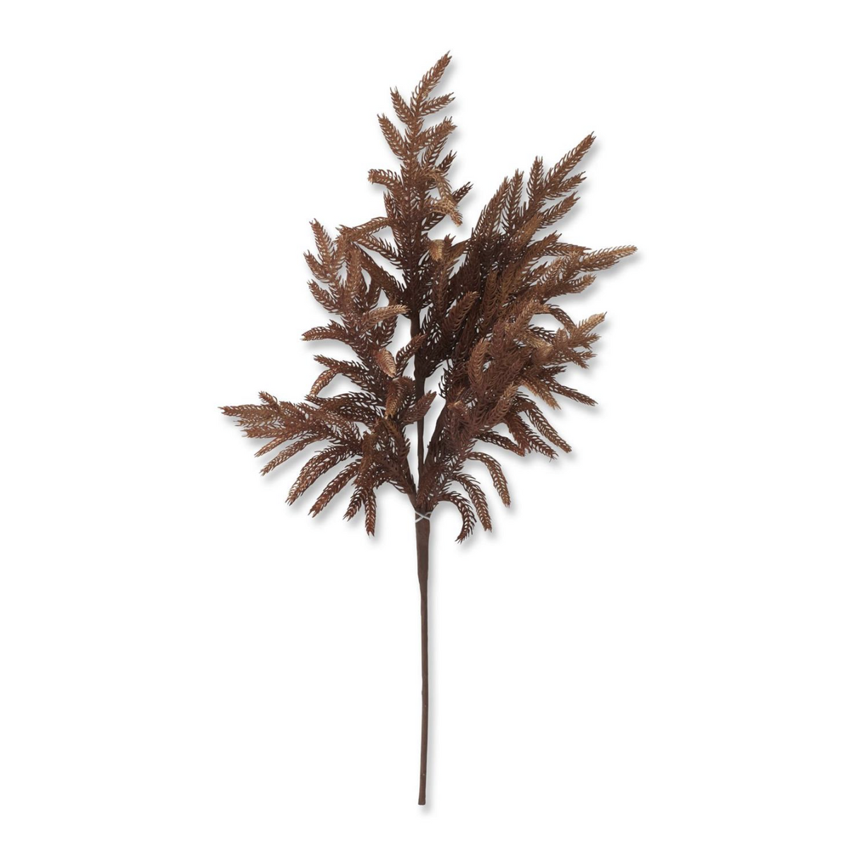 Fall Rust Real Touch Norfolk Pine