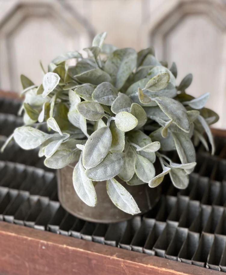 Grand Bay Half Sphere