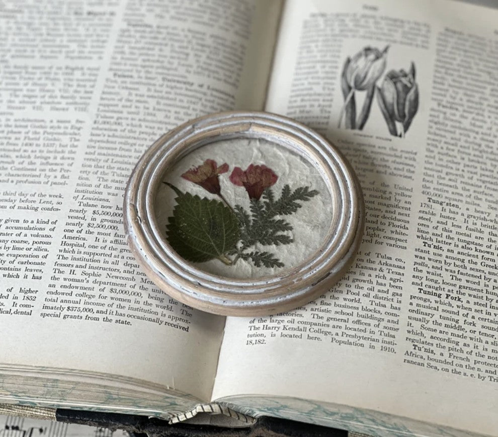Jardin Botanicals No. 2 Pressed Flowers