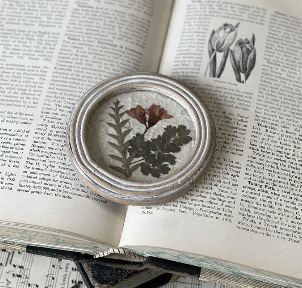 Jardin Botanicals No. 3 Pressed Flowers