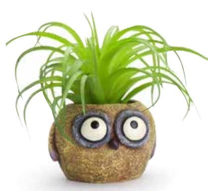 Mini Blobhouse Planter