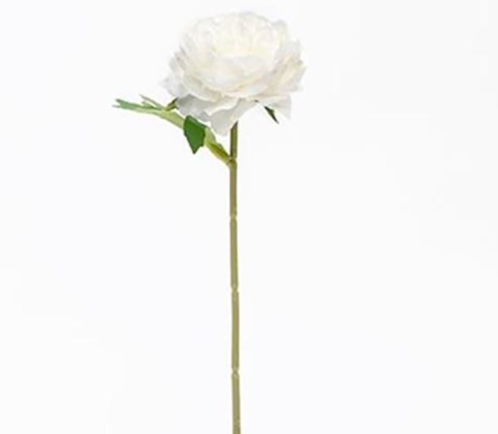Peony Stem - White