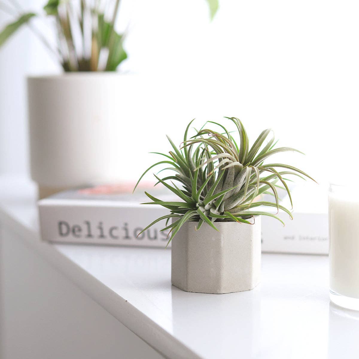 Octagon Cement Mini Plant Pot, Candle Holder