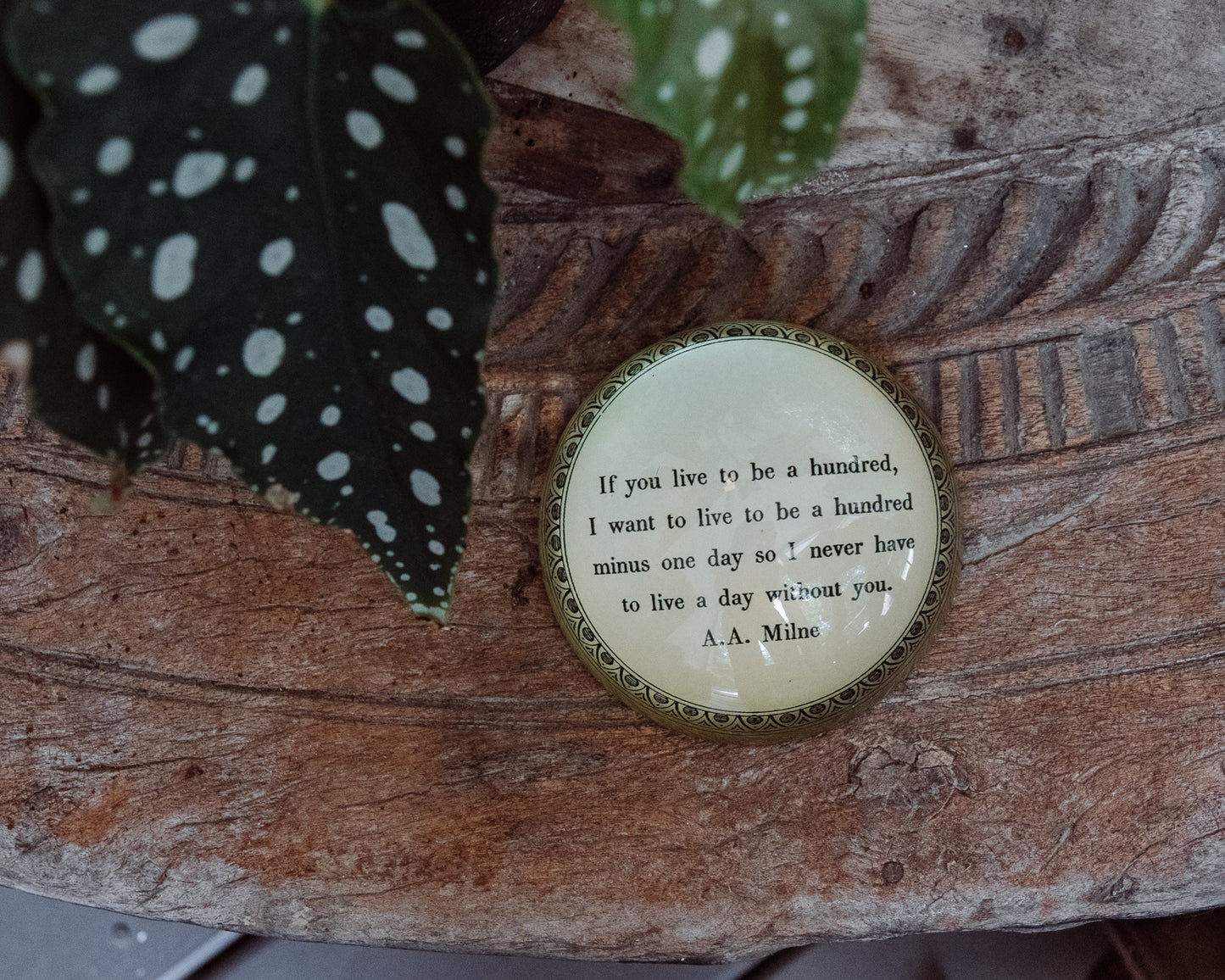 If You Live to be Hundred Paperweight