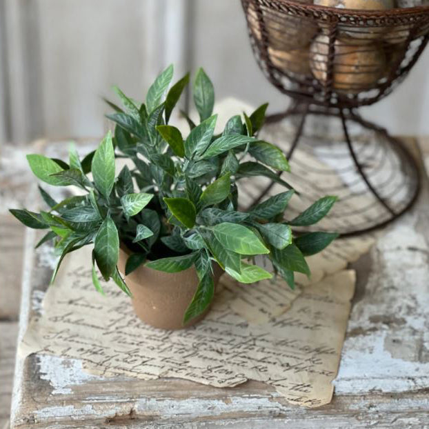 Gatehouse Herb Pot No. 3