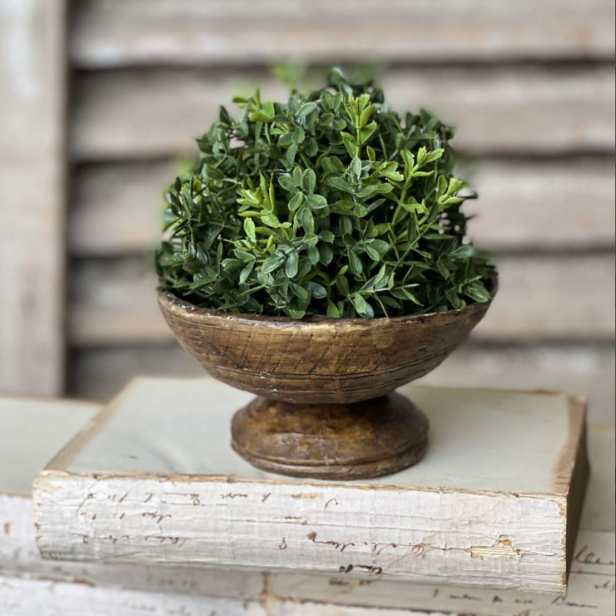 New England Boxwood Half Sphere