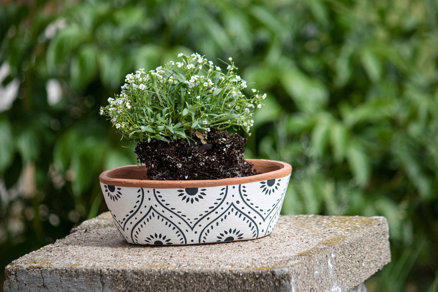 Oval Terracotta Planter