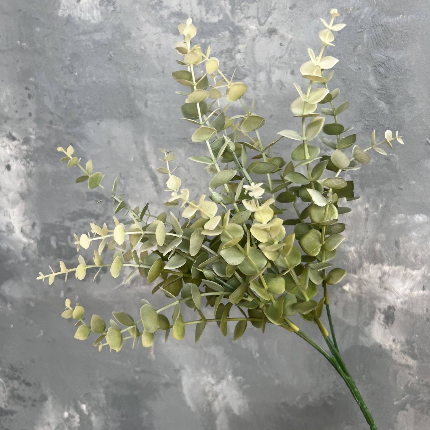 Eucalyptus Greenery Bunch
