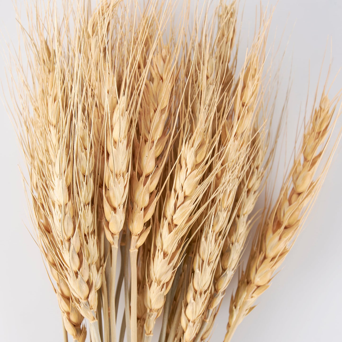 Wheat Bouquet