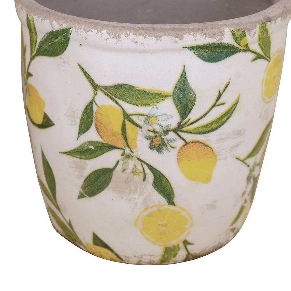 Citrus Grove Planter