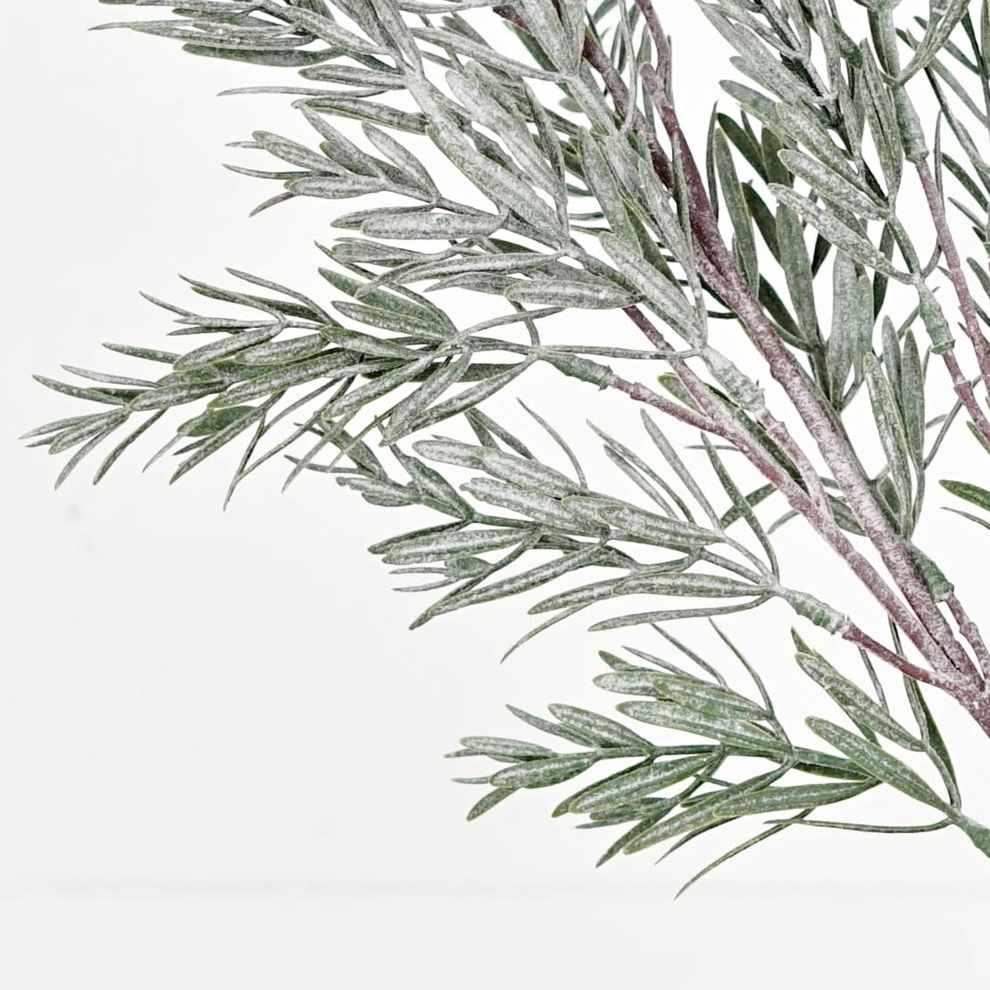 Frosted Rosemary pine spray - 24in