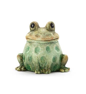 Happy Green Frog