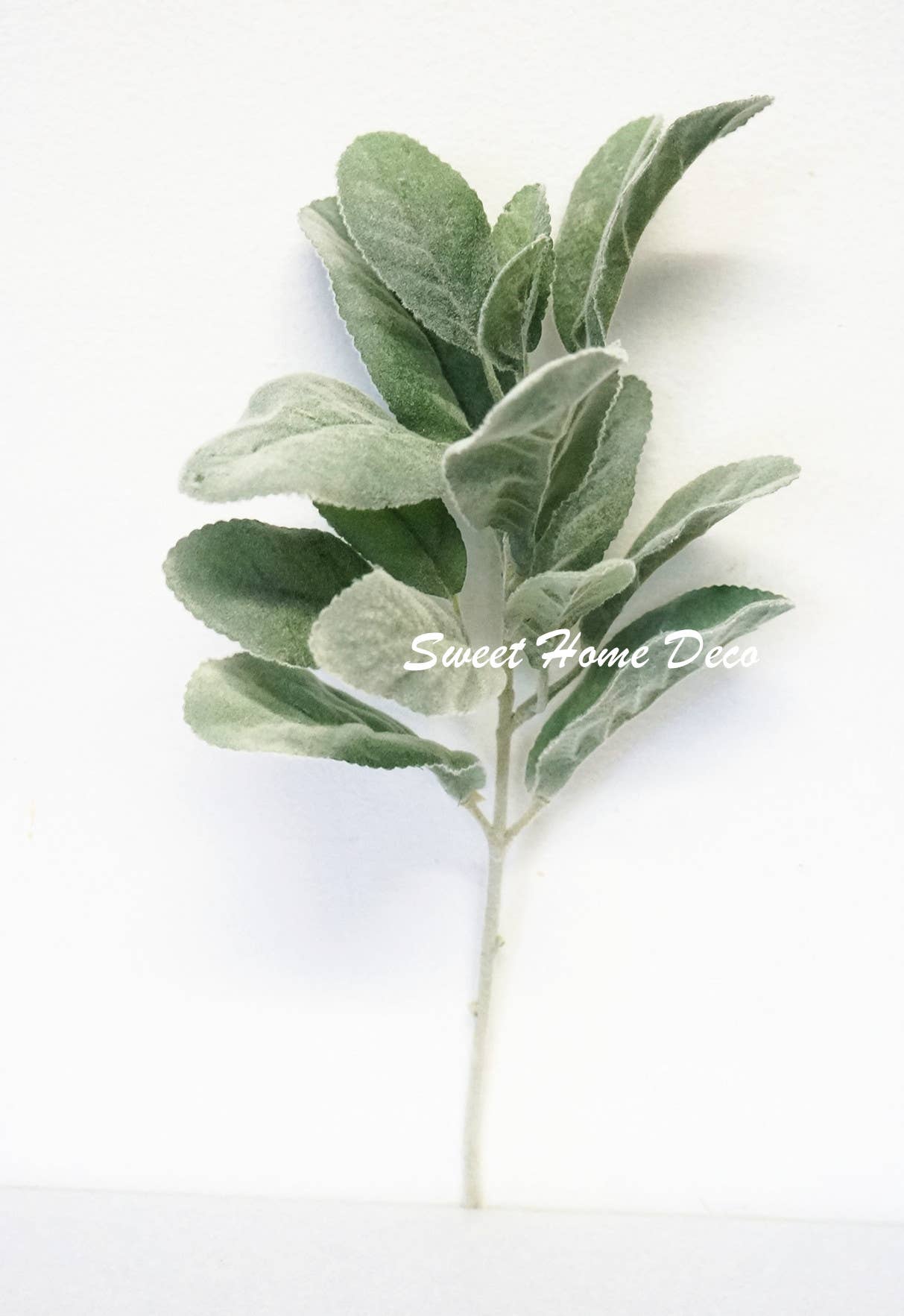 Flocked Lamb's Ear