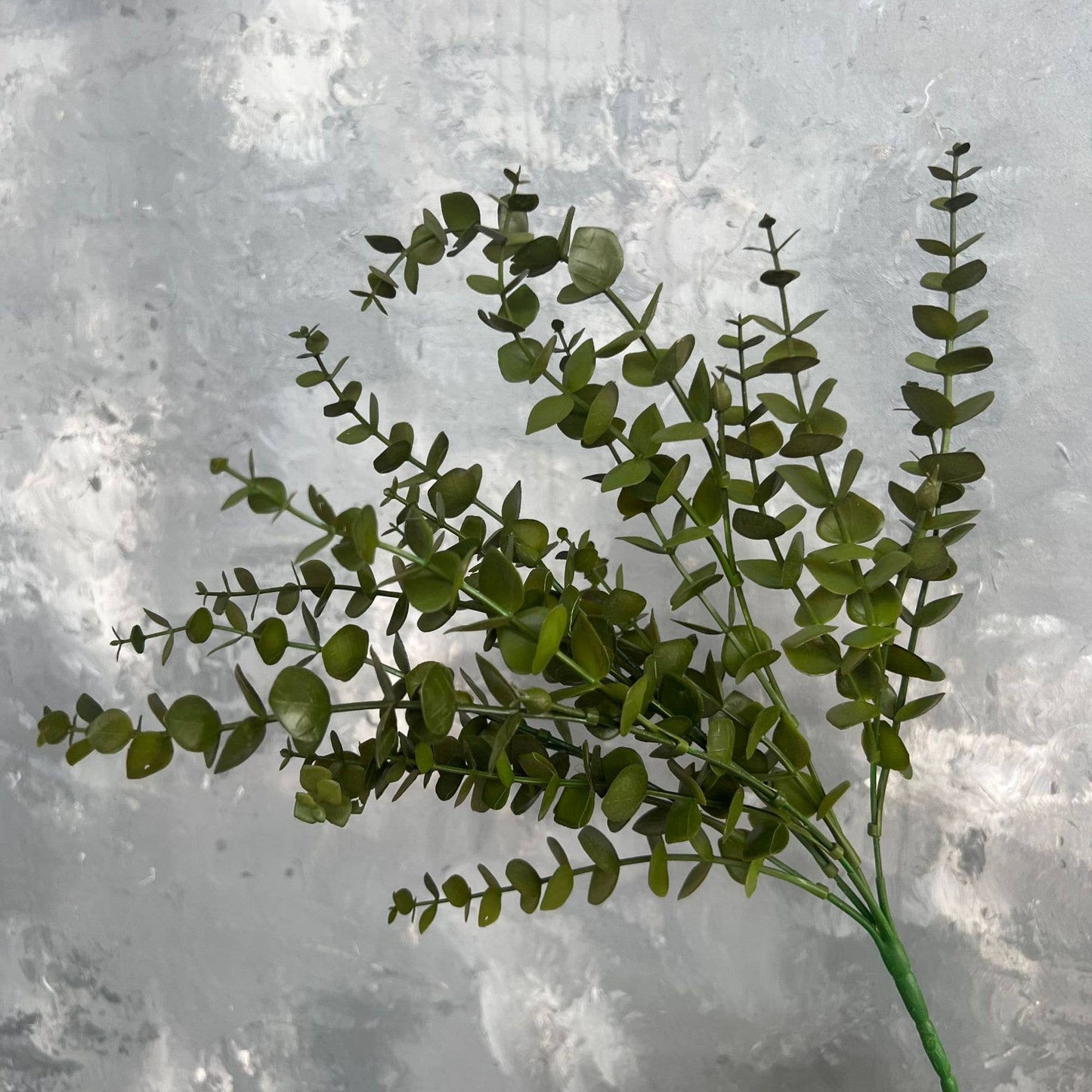 Eucalyptus Greenery Bunch
