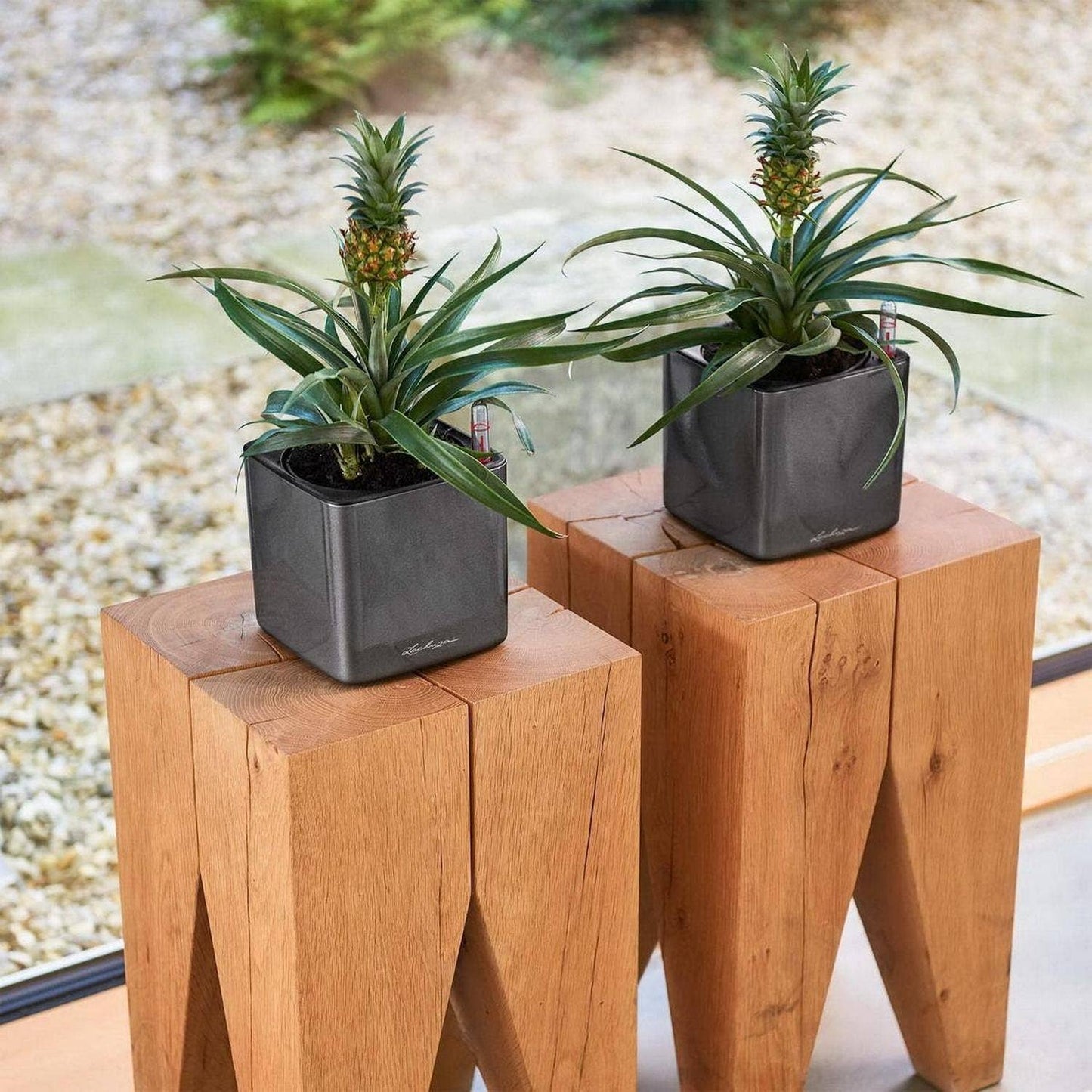 LECHUZA CUBE Glossy Poly Resin Table Square Planter