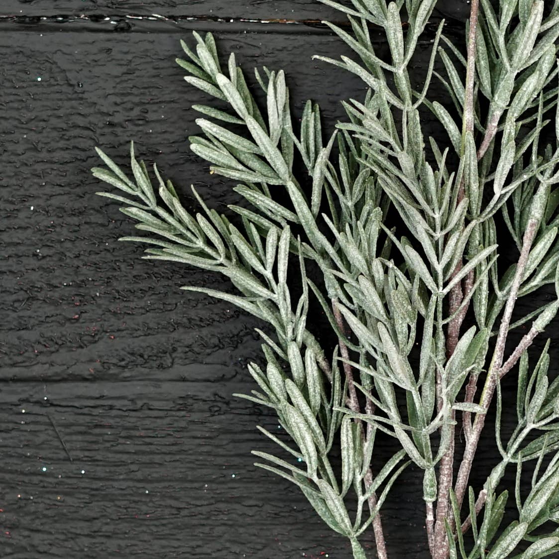 Frosted Rosemary pine spray - 24in