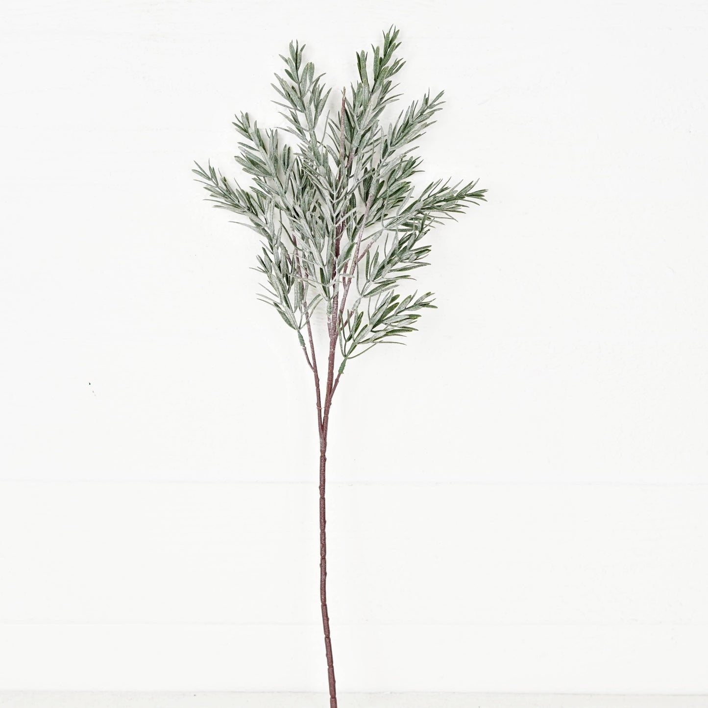 Frosted Rosemary pine spray - 24in