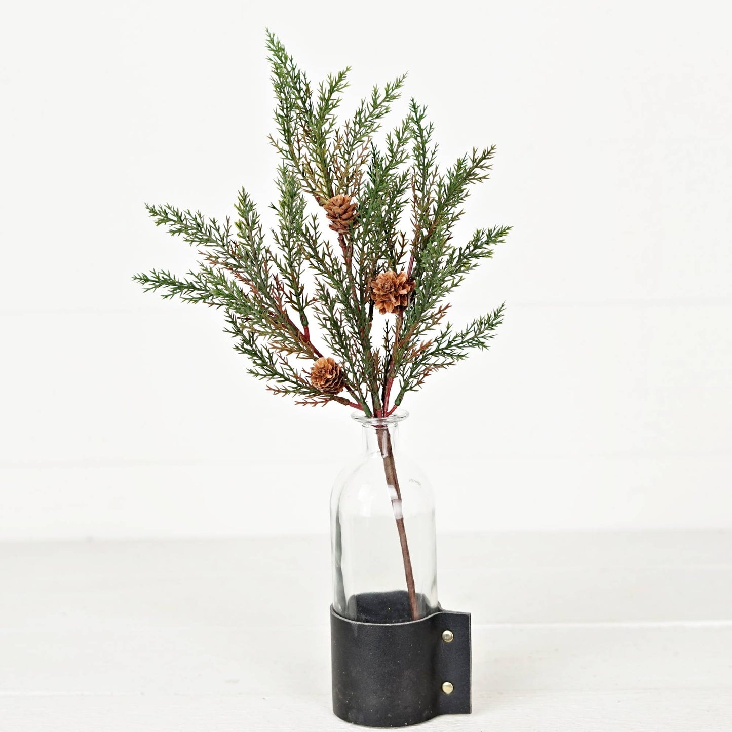 Dark Green Cypress Pine with Pinecones
