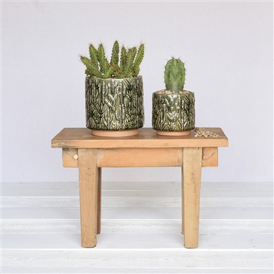 Cactus Motif Cachepot