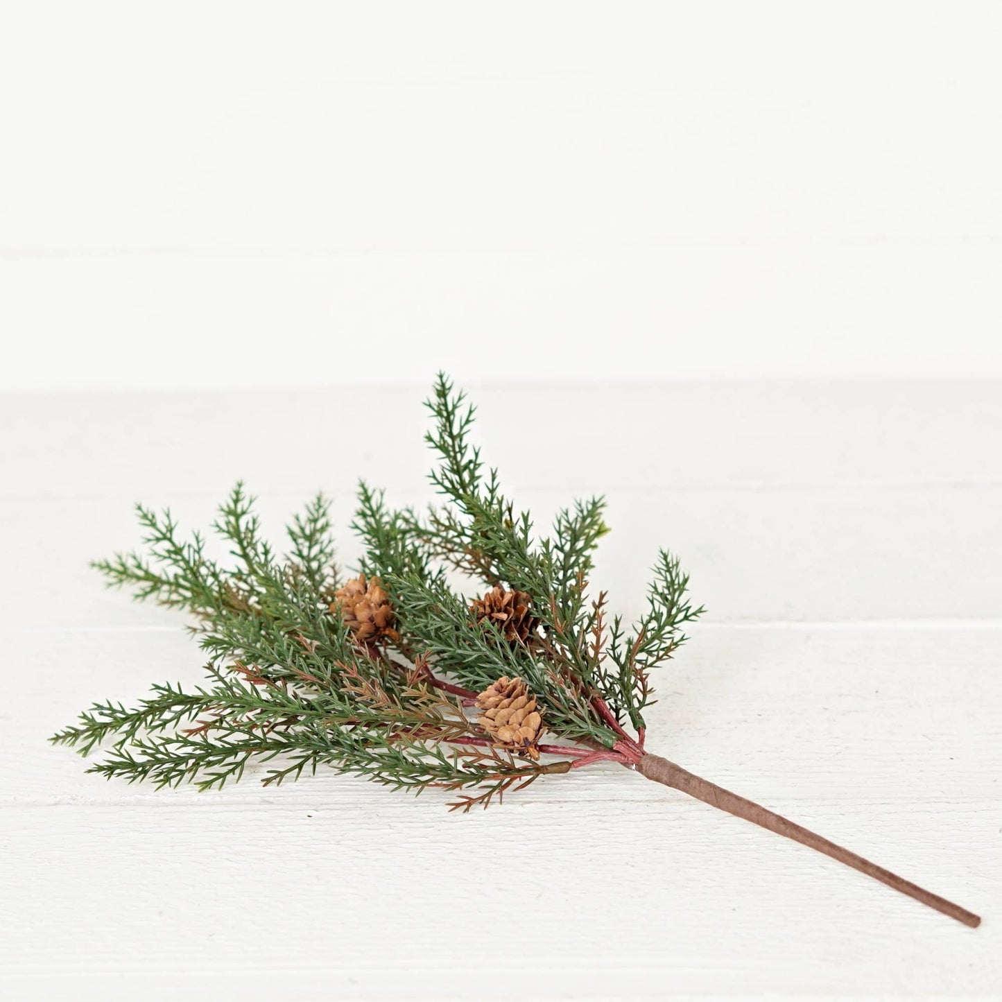 Dark Green Cypress Pine with Pinecones
