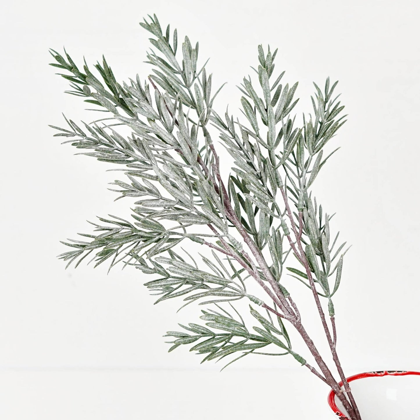 Frosted Rosemary pine spray - 24in