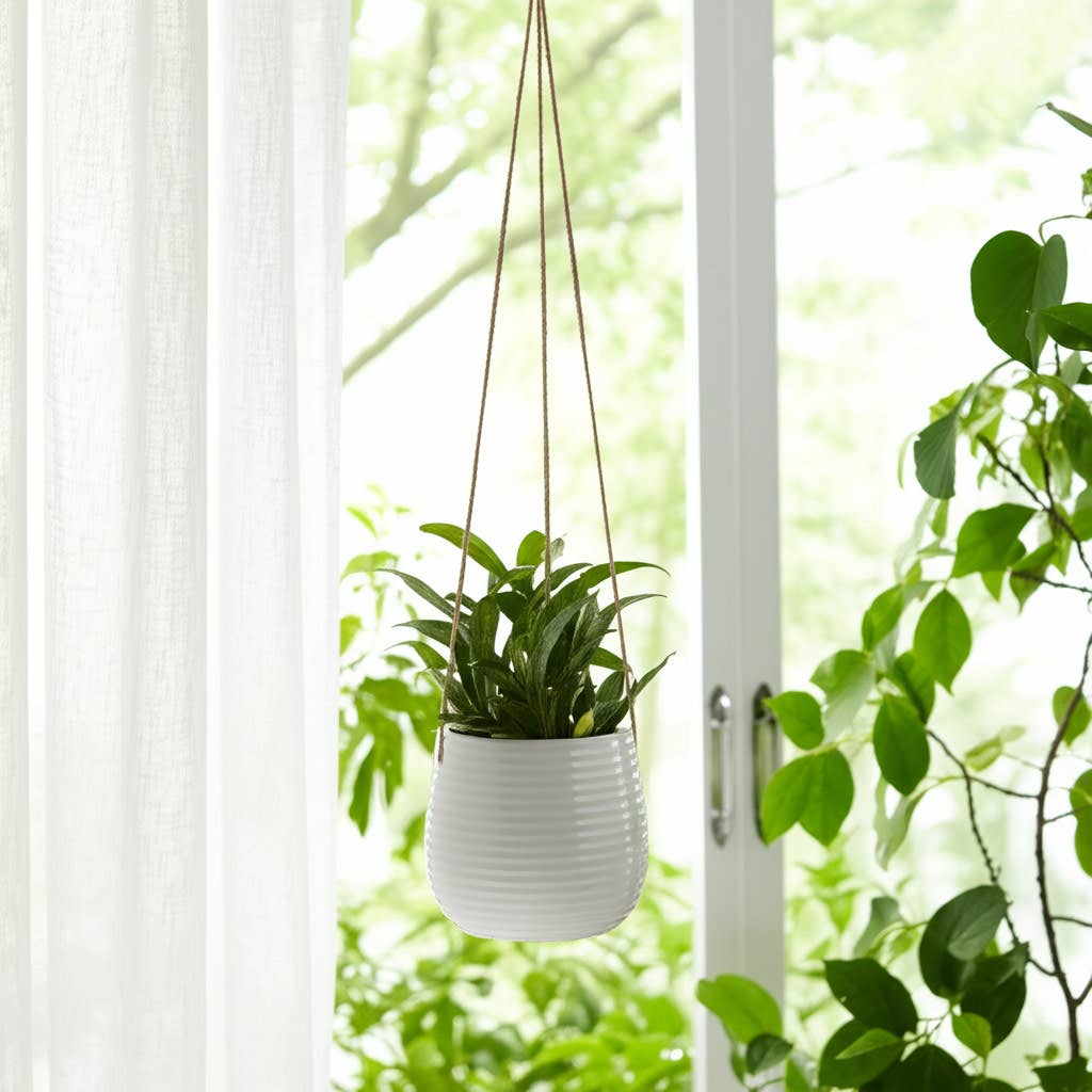 Ceramic Rope Hanging Planter