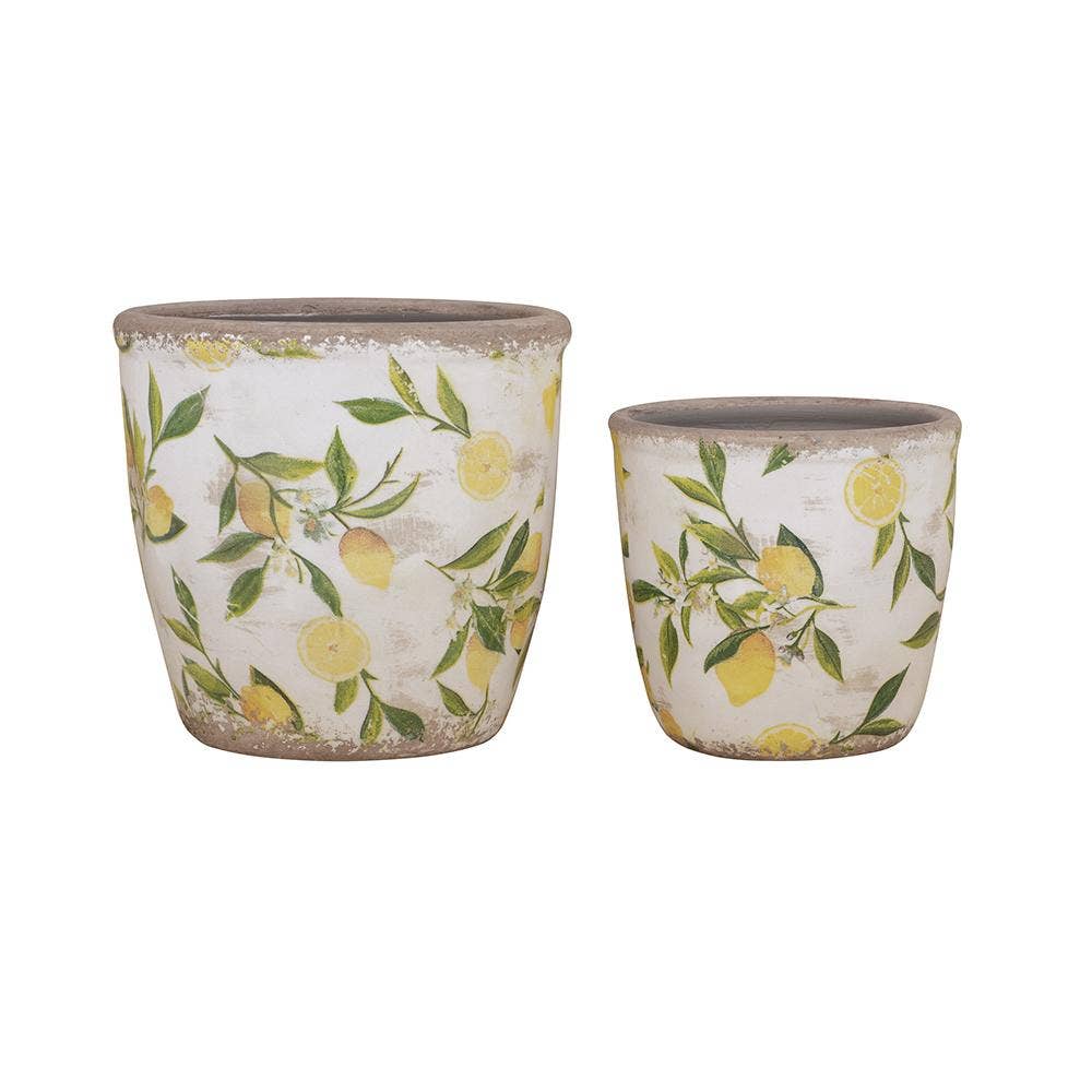 Citrus Grove Planter