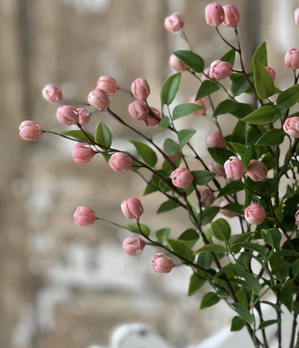 Billows Buds Bush - Pink