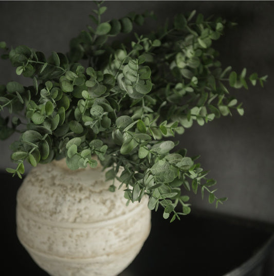Eucalyptus Leaf Spray