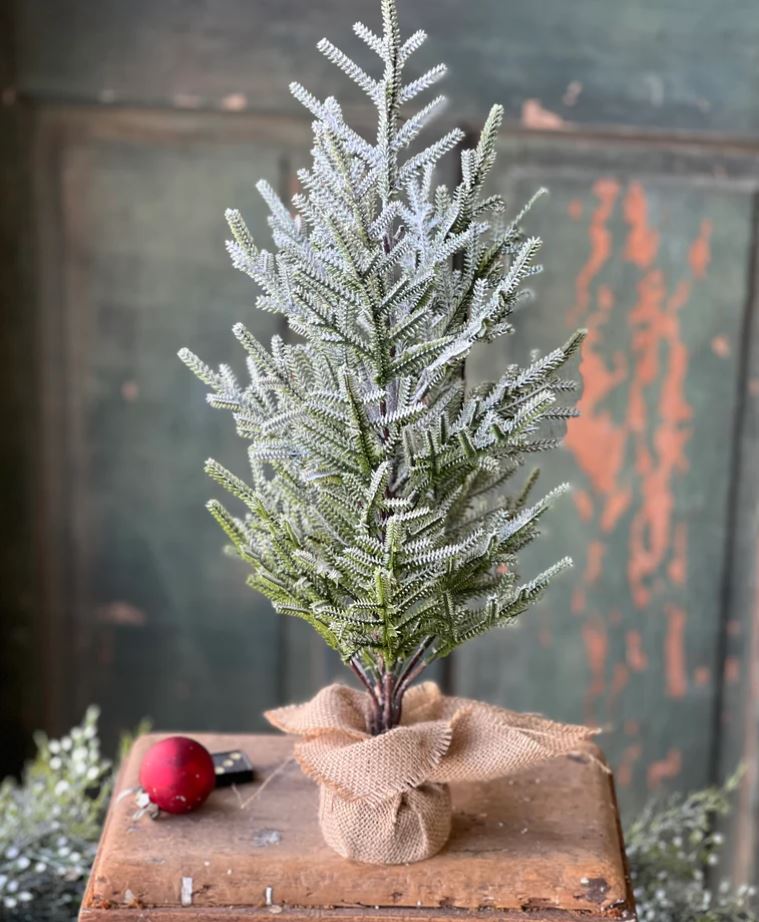 Frostbite Pine Tree in Burlap