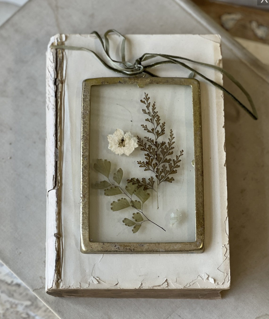 Meadow Momentos No. 1 Pressed Flowers