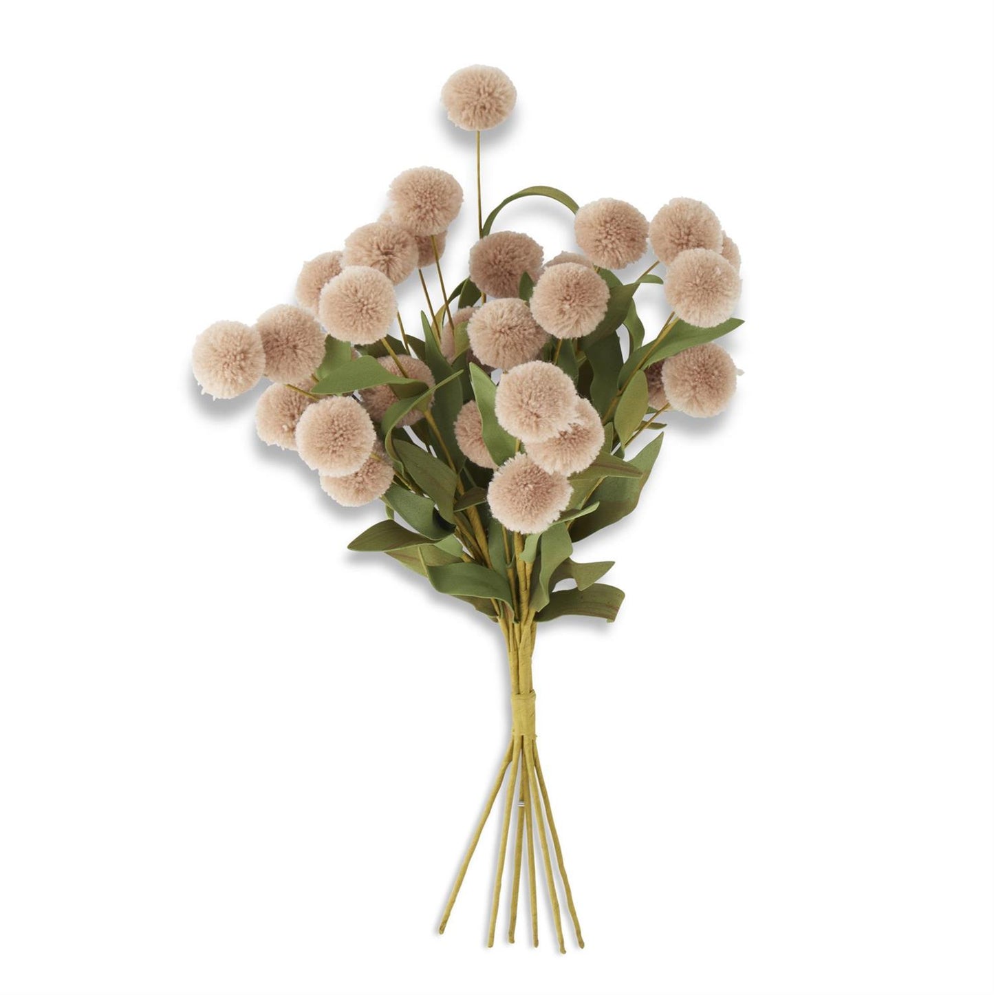 Pom Pom Bunch with Eva Leaves - Tan