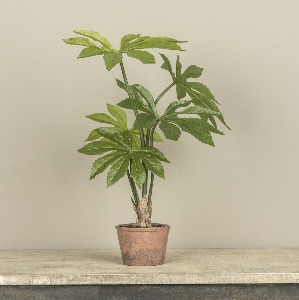 Potted Paper Plant