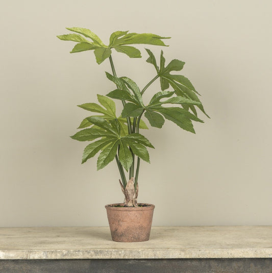 Potted Paper Plant