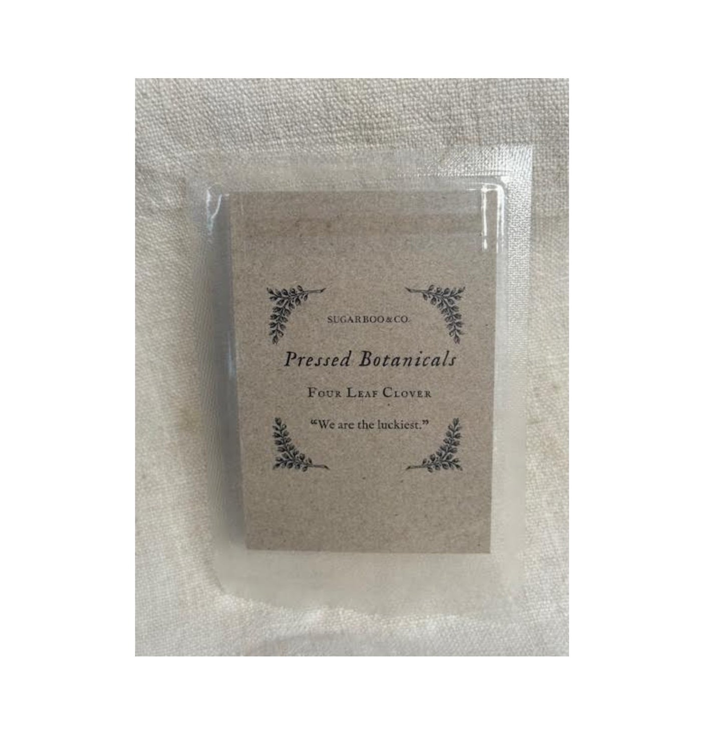 Pressed Four Leaf Clovers