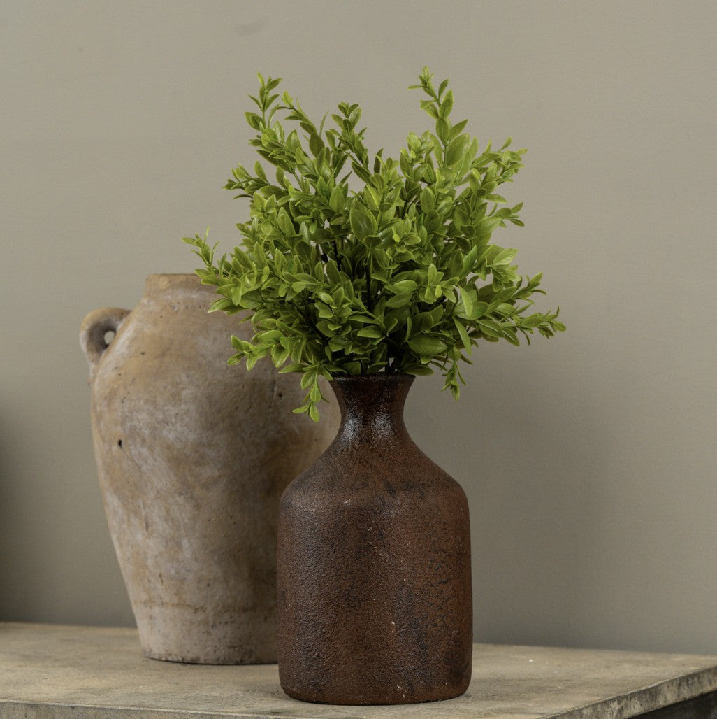 14" Ruscus Bush