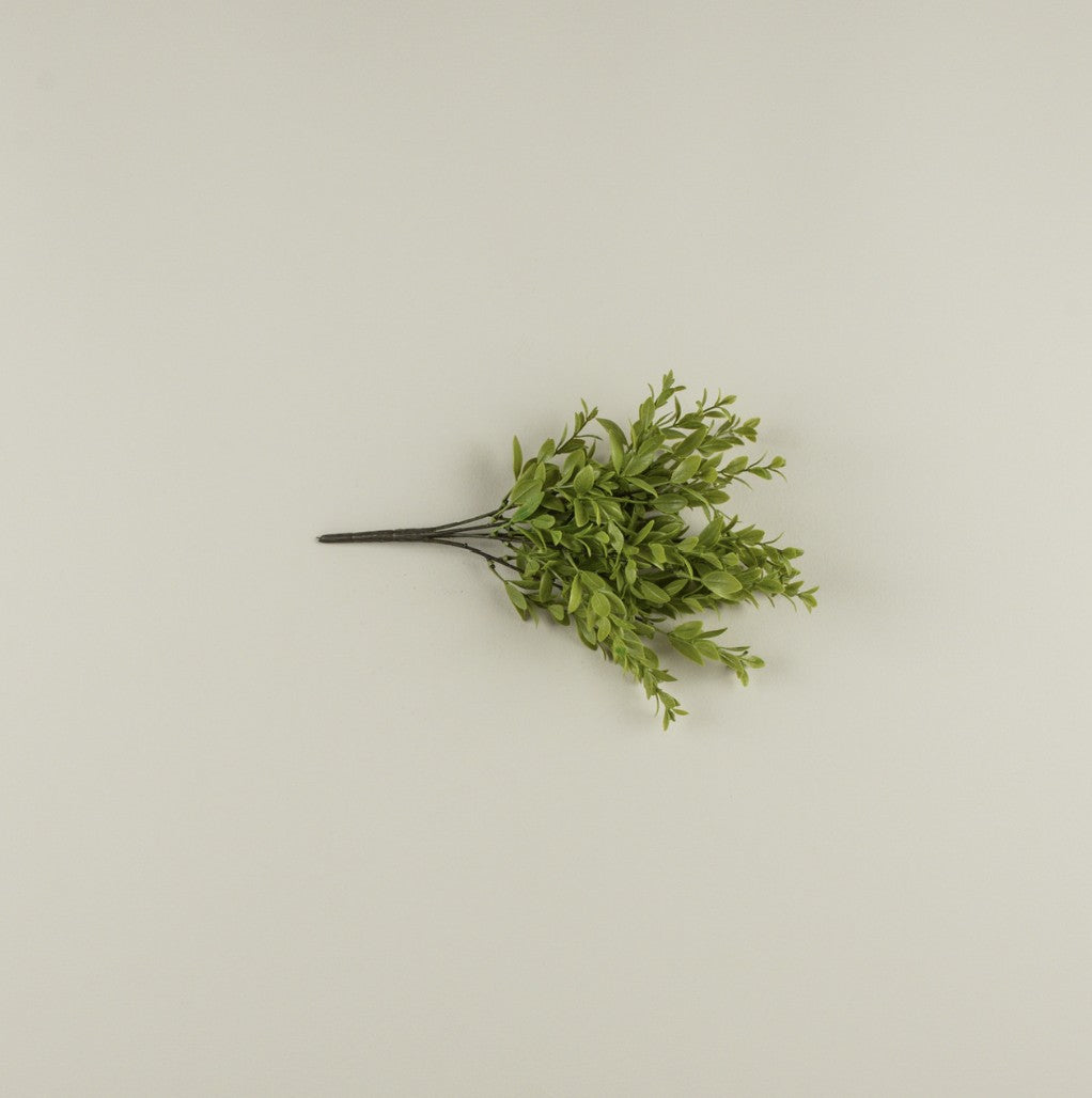 14" Ruscus Bush